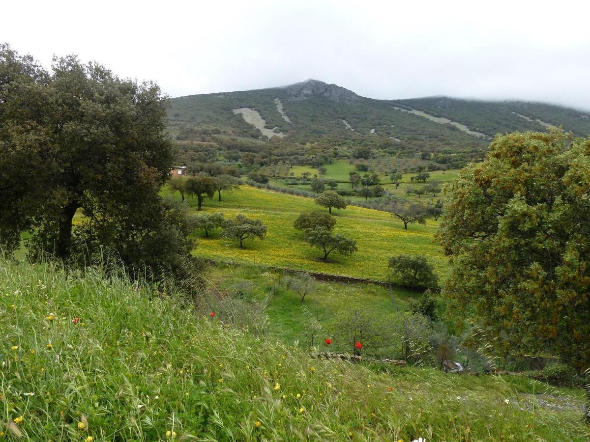 Casa Rural La Colmena Del Geoparque Navatrasierra Екстериор снимка