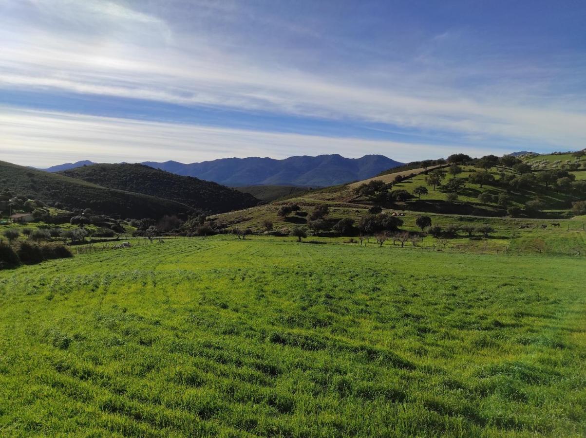 Casa Rural La Colmena Del Geoparque Navatrasierra Екстериор снимка