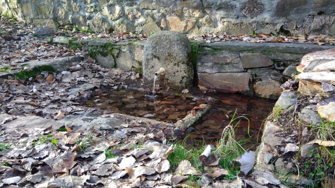 Casa Rural La Colmena Del Geoparque Navatrasierra Екстериор снимка